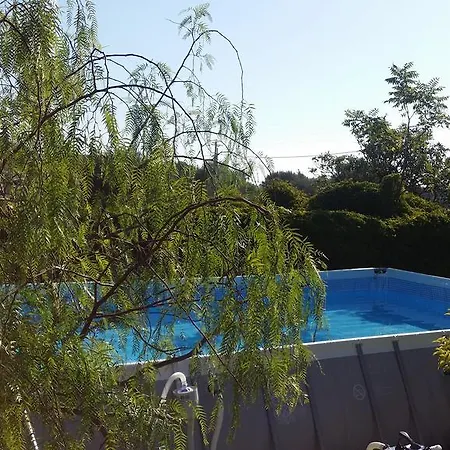 Hibiscus * جيارديني ناكسوس