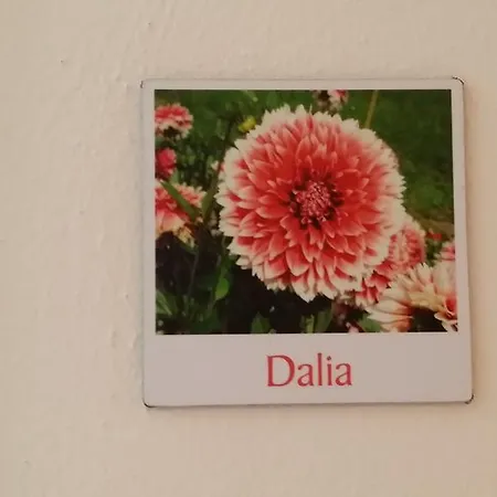 Apartamento Hibiscus *