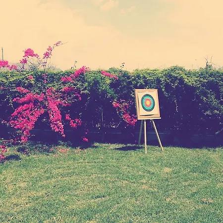 Appartement Hibiscus