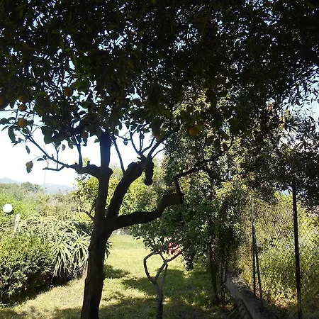 Appartement Hibiscus *